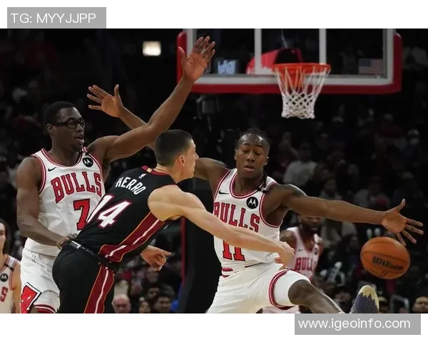 2014年NBA常规赛热火队与公牛队精彩对决回顾与分析 2014年NBA常规赛热火队与公牛队精彩对决回顾与分析