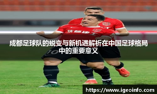 成都足球队的蜕变与新机遇解析在中国足球格局中的重要意义